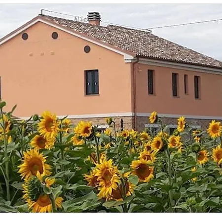 La Dolce Vita Porto Recanati Exterior photo