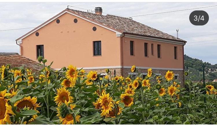 La Dolce Country house Porto Recanati