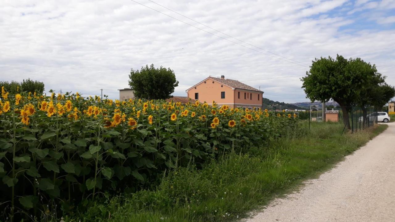 La Dolce Country house